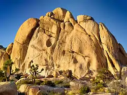 Joshua Tree National Park, United States