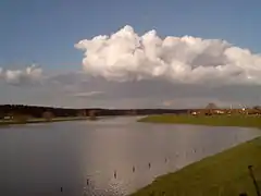 Driel, river Rhine