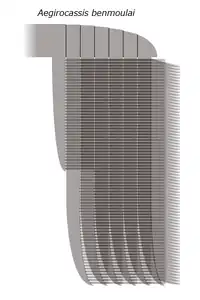 Reconstruction of frontal appendage