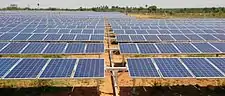 Many solar panels arranged horizontally at ground level