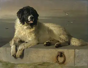 A Distinguished Member of the Humane Society by  Sir Edwin Landseer