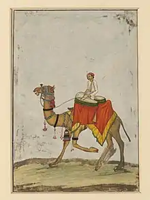 In addition to kös kettle drums, the camel has bells on its neck,  with smaller bells dangling from them.