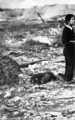 A charred body and a woman stunned with shock