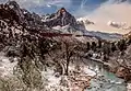 A dusting of snow at The Watchman