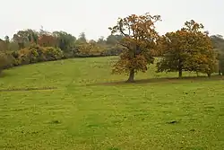 Shabden Park