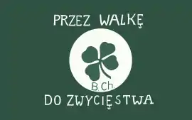 Banner used in World War II by the Polish People's Party Bataliony Chłopskie