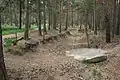 Image 22Pineferous forest of the sandy Bagshot Formation spanning parts of four boroughs towards the north-west and in the far west of the county, with defensive positions for historic army training near Deepcut and Pirbright (from Portal:Surrey/Selected pictures)