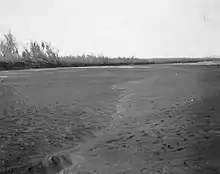 Dry Bed of Colorado River