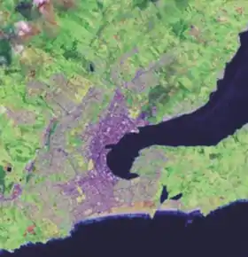 Dunedin City