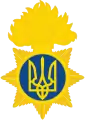 Old-style grenade, used by the National Guard of Ukraine.