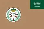 Flag of the Royal Saudi Land Forces