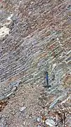 Close-up view of the folded layers of Liminangcong chert in Busuanga