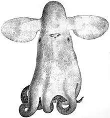 A black-and-white drawing of an octopus.