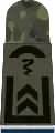 Oberfeldwebel SanOA(Army Veterinary Officer Candidate with the equivalent rank of Staff Sergeant)