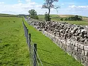 Image 62Hadrian's Wall (from Cumbria)