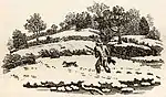 Hunter in the snow