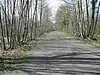 East Blean Wood