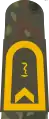 Fähnrich zur See SanOA (Naval Pharmacy Cadet with the equivalent rank of Petty Officer 1st Class)