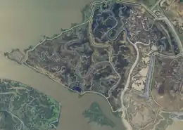 Sad-looking aerial photo of an island suffused with muck.