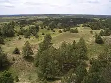 Image 20Nebraska National Forest (from Nebraska)