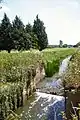 Old lock on River Lark (2005)