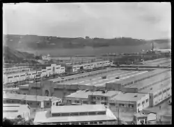 3rd Dunedin exhibition