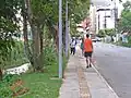 Walking path on the Caladão Stream.