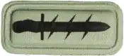 61 Mech Operational Service Badge