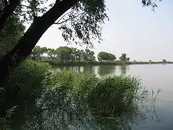 On bank Samara river
