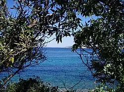 View from Stivan