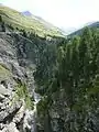 Avers Valley / Magic Wood, Switzerland