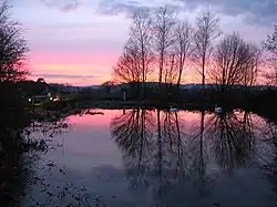 Nutfield Marshes