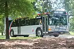 A bus with a bicycle rack, behind a tree