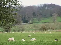 Site of Milecastle 27