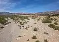 Looking at Red Rock Wash