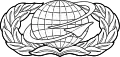 Manpower and Personnel Badge (Enlisted)